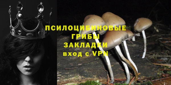 прущие крисы Краснотурьинск